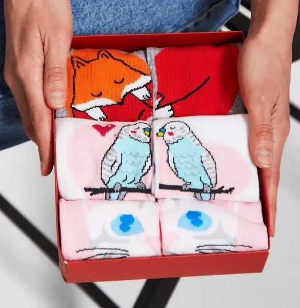 ���� �������� - �������� ������� � �������, �������, ������� � �������