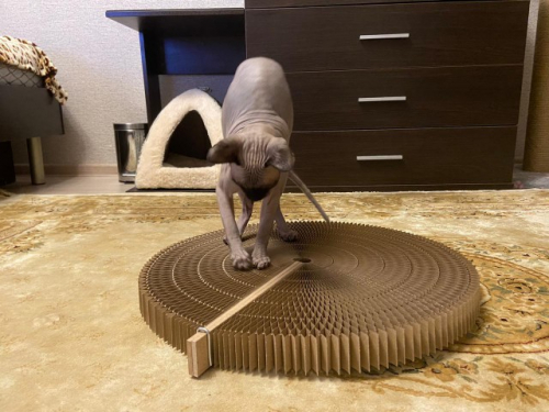 [b]���� �������.���������� �������.������� - ������� !����������� �������� ��� �����, ������� � �����. ������� ���� ������� � ���������� �������, �������, ������.������� - �������� ��� ���������� ������� 