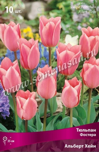 ������� ������� ���� ���������� ������� ��������������� � ��������� ������� �����. �������� ������ �� 3� ������!