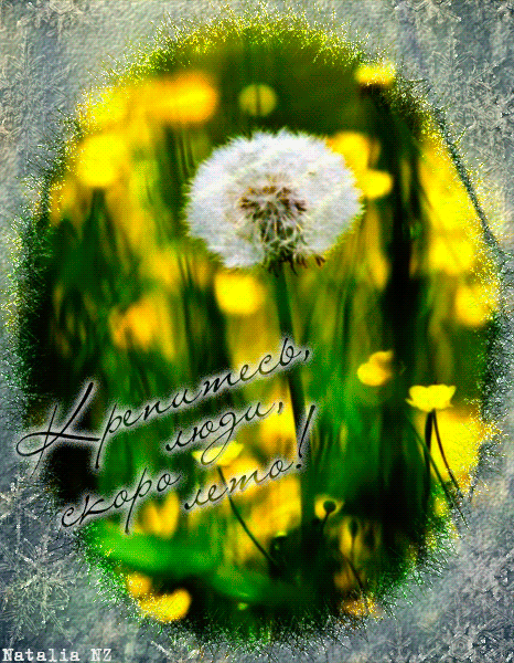 ��� �����