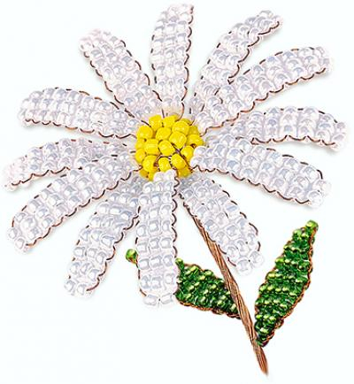 ���� �������. �����, ������, ���������� �����, ����, ����, �����, ������� ������, ������ �������, ��������� ��� ���������, �����, �����������. ��������� ��� ���������� 9/21