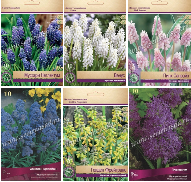 ��������� �������� ������ � ���������, ������� �� ����������� ������, ����������� ������, �� �� ��� �����, ��� ��� �������! ����������� ������������� ���� � �������� � ��!