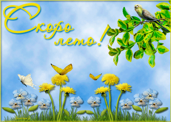 ��� �����