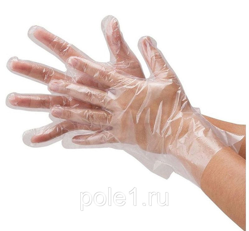 ���� 27.05. ���� �������. ����������� �����. ����� 80���/��. �������� 30���/��. ������� �����, ������