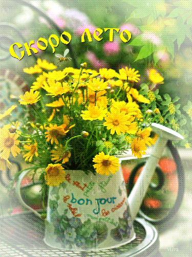 ��� �����