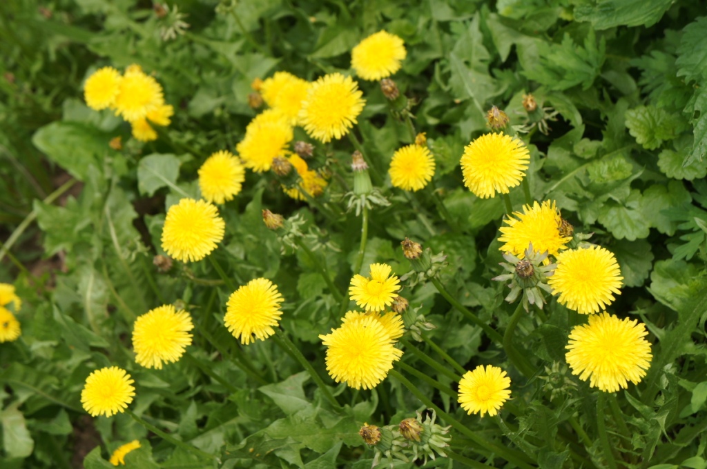 23 ��� 21 ���. �����