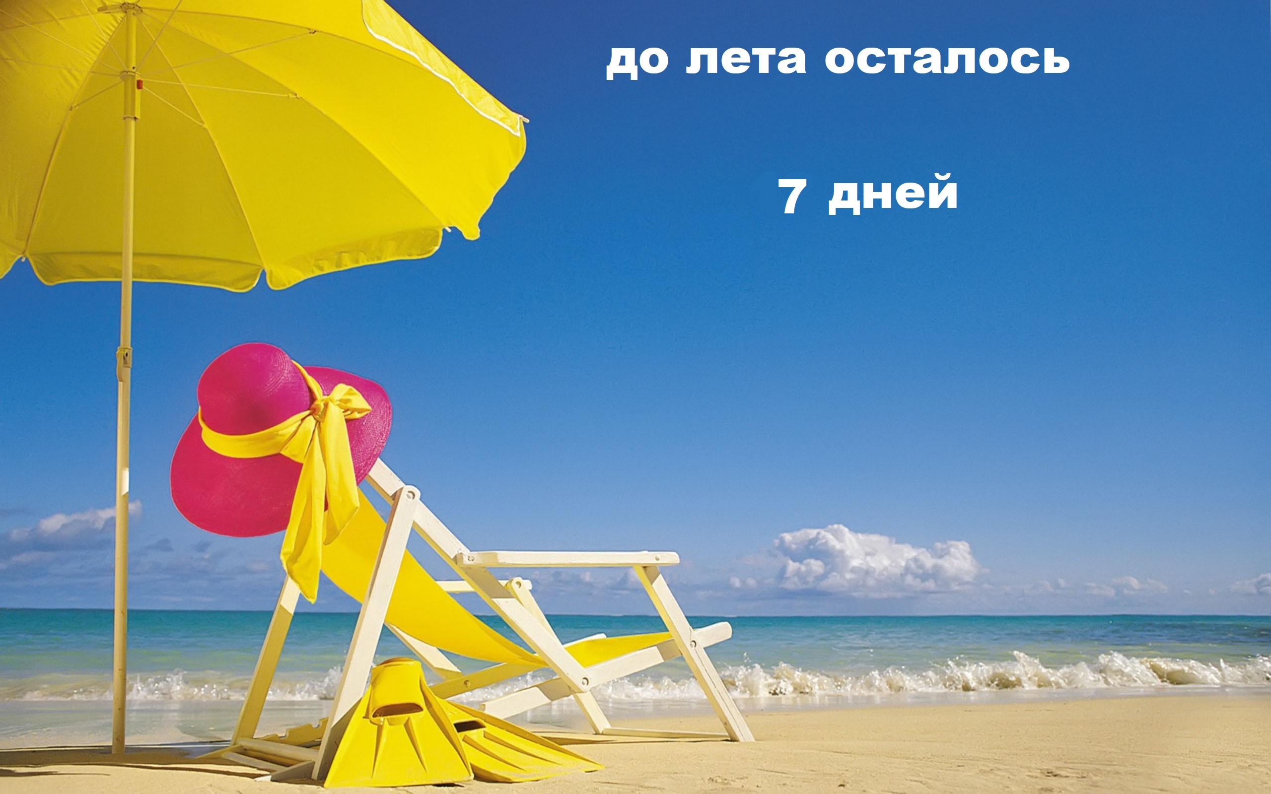 ��� �����