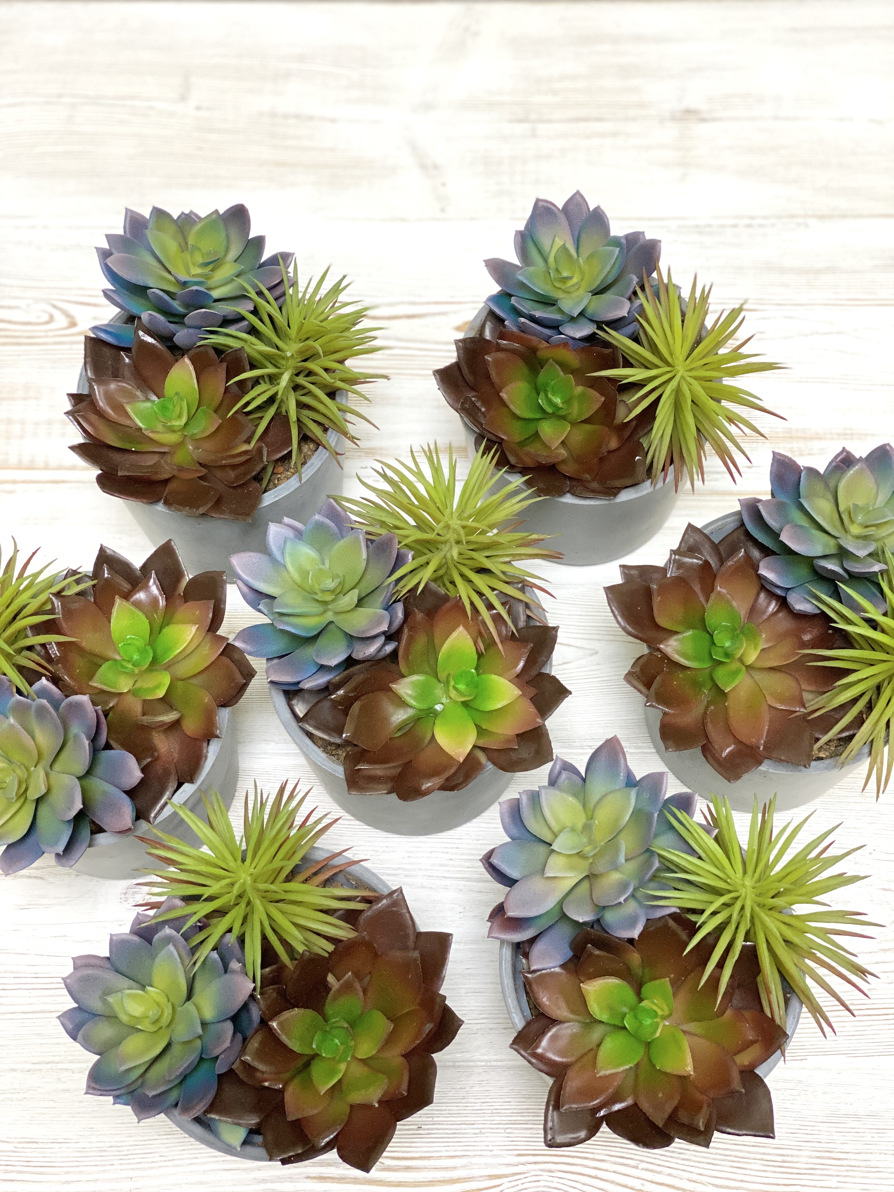 ������ ����� ����!