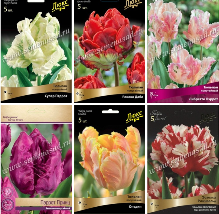 ������������ � �������������! ������ �� ������������ �������� ������������ ������ ������ ������ �����������, ����������� � ���������� ������ �������. ������� �� ��� ���������� ��������!