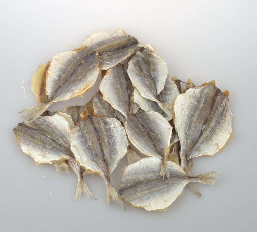 ������� � ������� ������������, ����, ����, ��������, ������ � ������� � ����. ��� �����. ��� ��. ����� 15