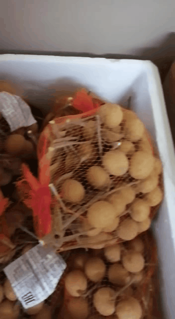 ������ ������� ������ �� ����� �� ��������