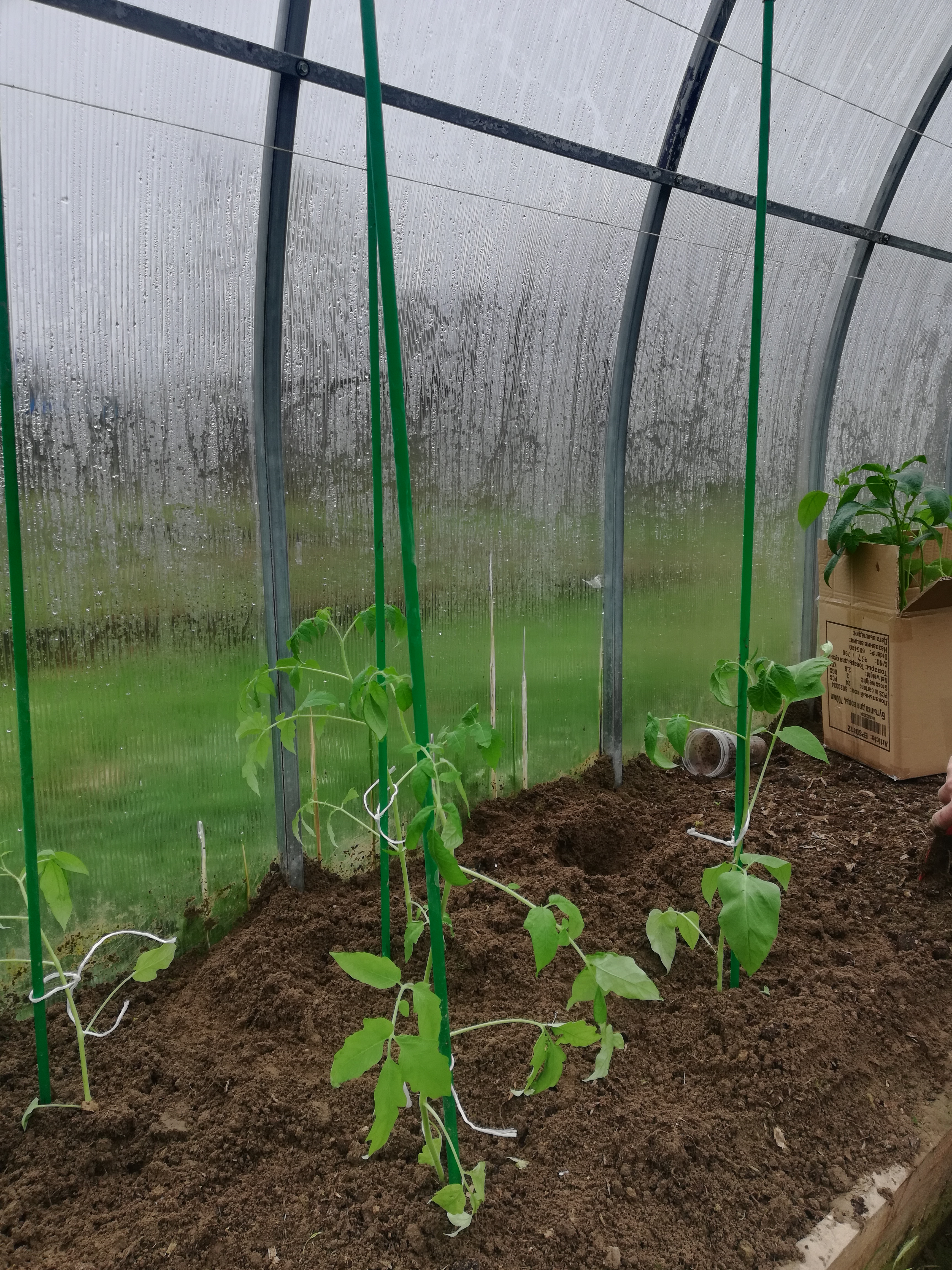 ����� ����!������� �������  ��� �������� ������� , ������� � ������ �������� ����� >>>>>�������� ���� ���, � �� ��� �����.���� ������ �� ��������� ���������� �������.