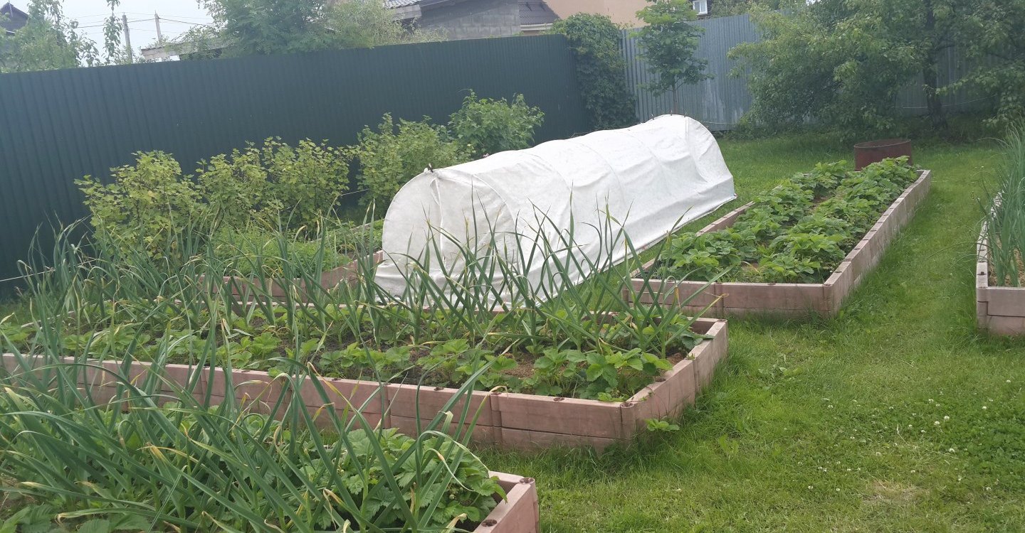 ������ ������, � �� �������? ����  10-12 ������ ������ ������� 4 ����� �� 1 ���� , ����� ���� �������� ���������� �� �������, ������ ��� �� ������ ������, �������� ����������.���� ��� ������� ���>>>