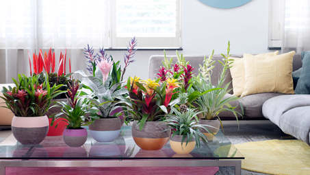 ���� �� 11.06 ����-������� �� ����-1: ������ ��������, �����������, ������ ��� ��������, ������� �������, ��� ��� ������������, ����������, �������, �������� �����������, �������, ����, � ����� �������� ��� ���� (�������,������,����������-21