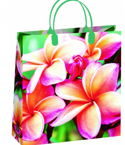 � ��������� � ����������! ���������� ������ � ������-�����. ��� � �������!