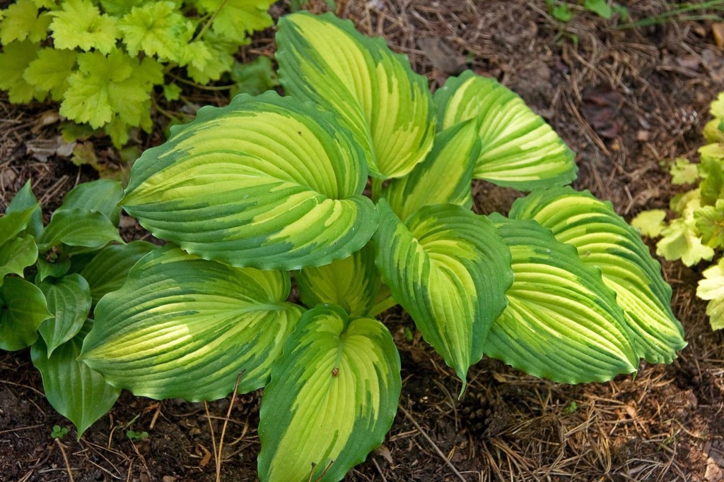 [b]���� ������� �� 20 ���. ���� �����-���������, ���������, ��������, ������� �������� ��������, ���������, �������, ���������, �����, ������������ ��������. ���� �������[/b]