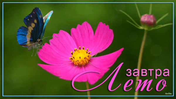 ��� ������