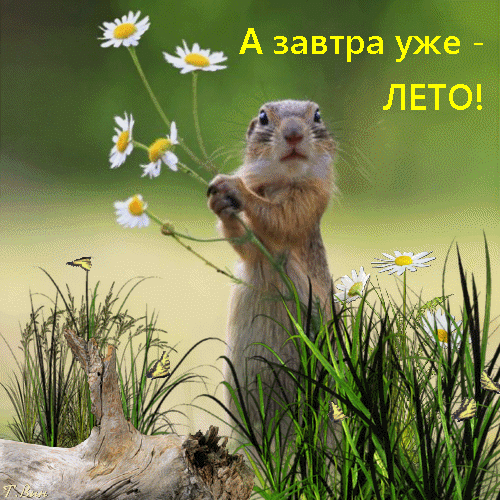 ��� ������