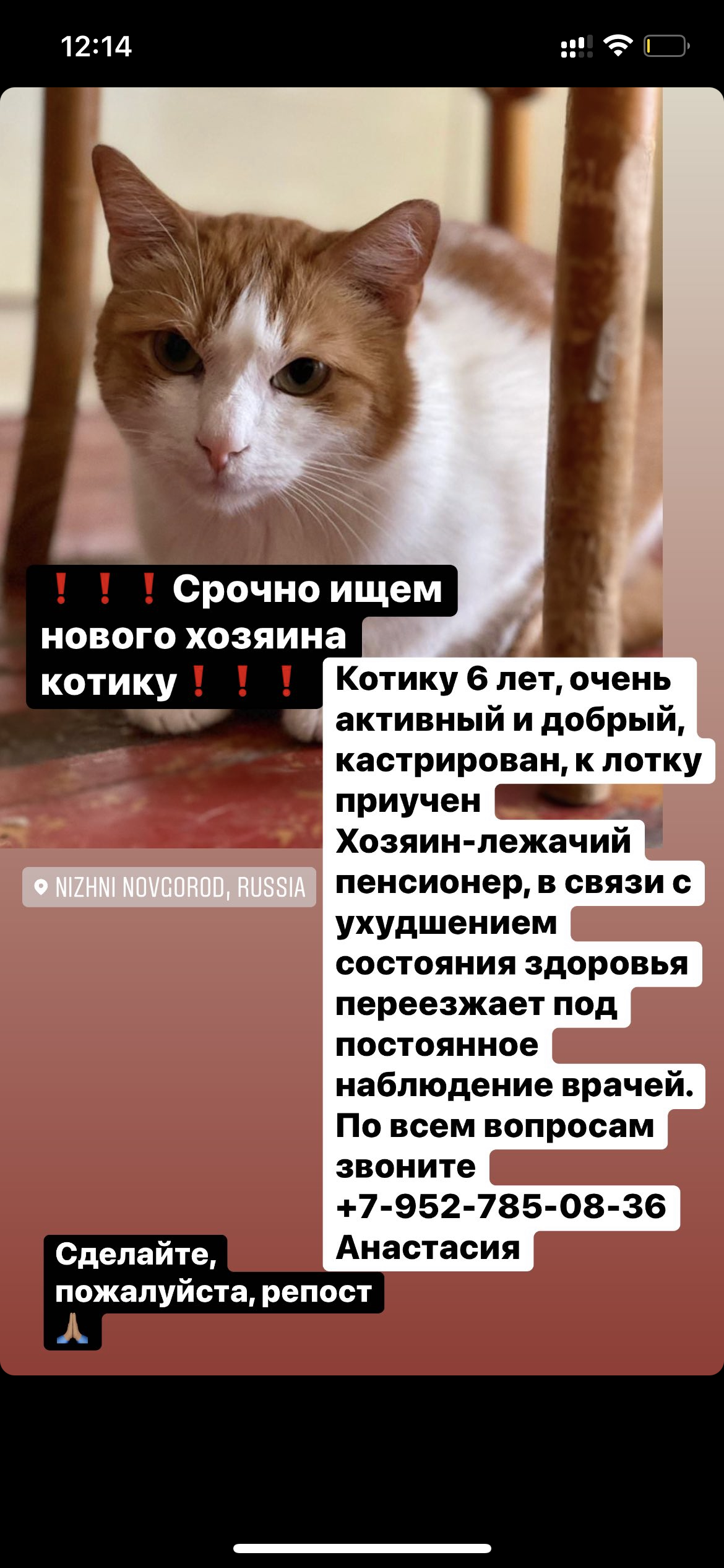 �������� ����� ������ ���. ��� ���������� �� ����������