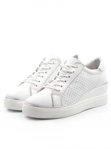 ����������� ������������ (����������� ����) 990 �