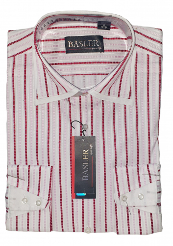 ������� BASLER 175 �