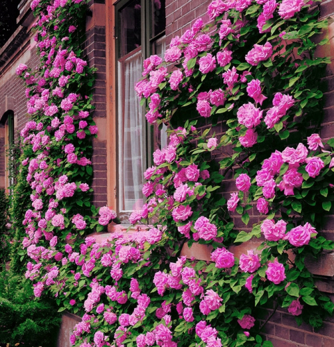 ���� �������. ��������� ���� 2 (�� 07.06).