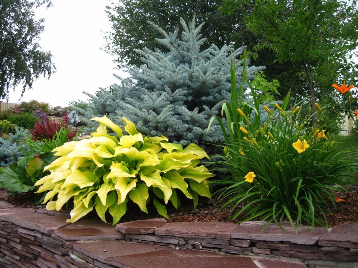 ������� ������! �������� ������� � ��� �� ���������� ������. ��������, �������, �����������-���������� ��������, ����, ������������. ����� No1. 1/21