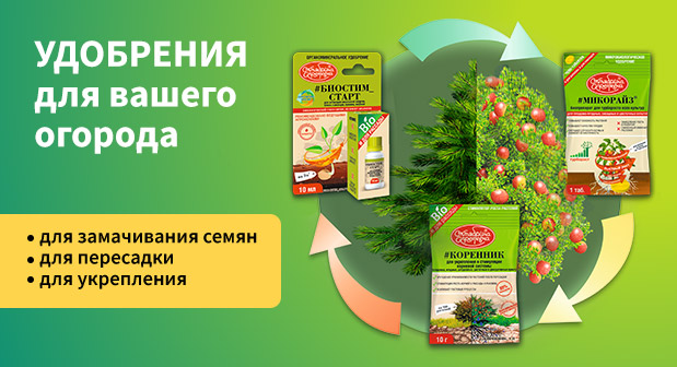 ���� �� 12.06.���� ����: ��������� ��� ����, �������, ��������� ��������.��������� � ��������� ( �����������) ��� ������, �������, ����, ������/