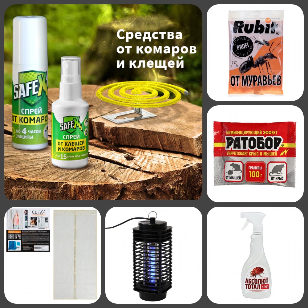 ���� �� 12.06.����-����: ��� �� ������!- �������� �� ������� � ������! �������� ������ �� ��������� � ��������.