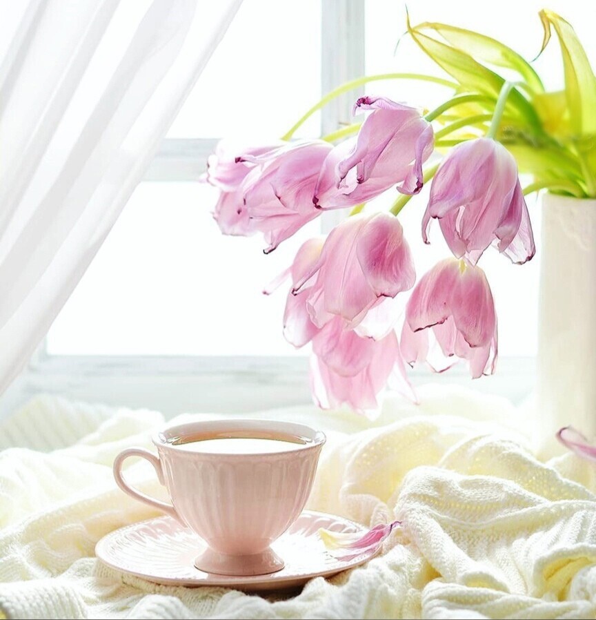 ������� ���� ���������� � �������� ����������!