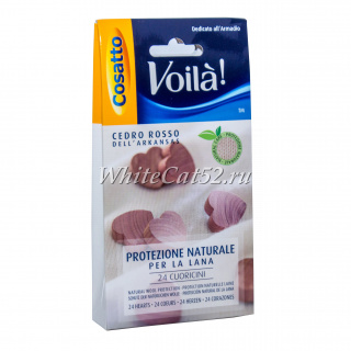 [b]���� �������. ����� ��� - ������� ��� �����. ���������� ��������. ����� 4.2021[/b]