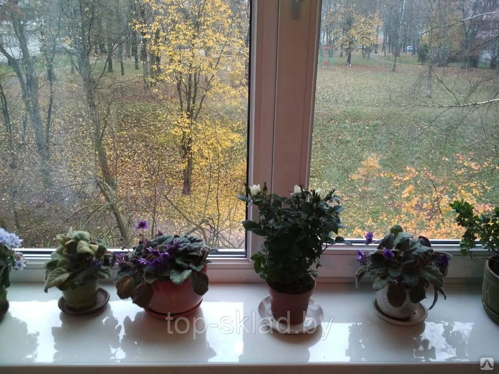 ����� ��������, ������� �� ����������. �������� ������ ���������� �� ��� 100 ... ������ ������, ��������, ����������!