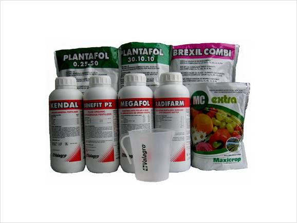 ������ �������. ��������� � ��������.