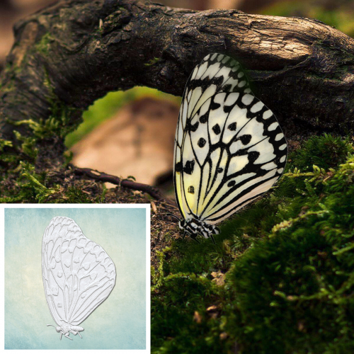 ���� "������� 4" (M) ARTMD1208