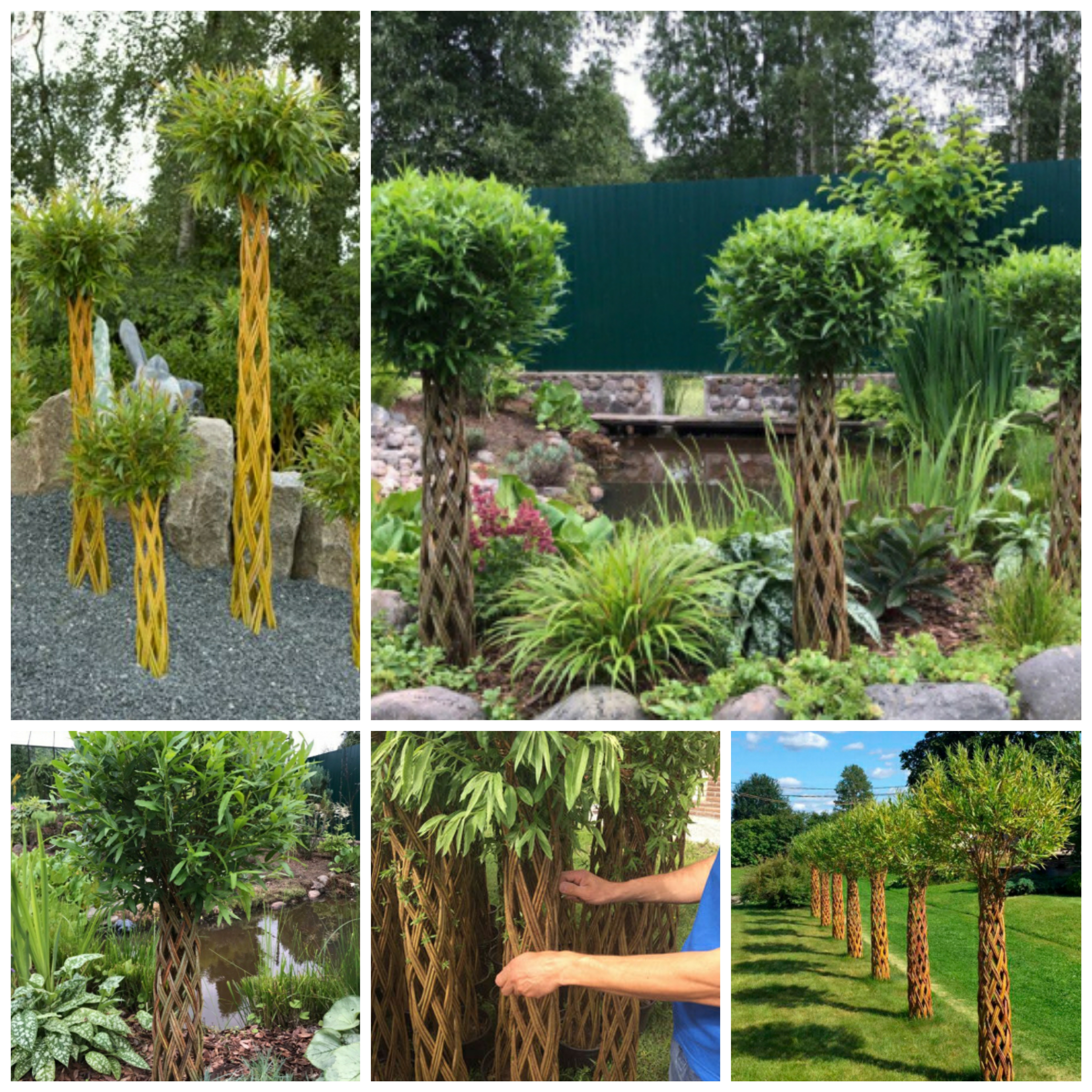 ��������. ����� �������� ������� �� ���! 