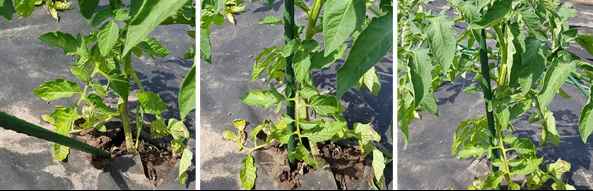 � ����� ���� ��������� ������� ��� �������� �������! ������� - ��� ������������� �����, ��������� ���������, � ����������� �� ������������. �������  ��������� ���, ��� ��� ������������ � ��������� ��� �����