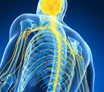 ������������ ��������� ������� �������