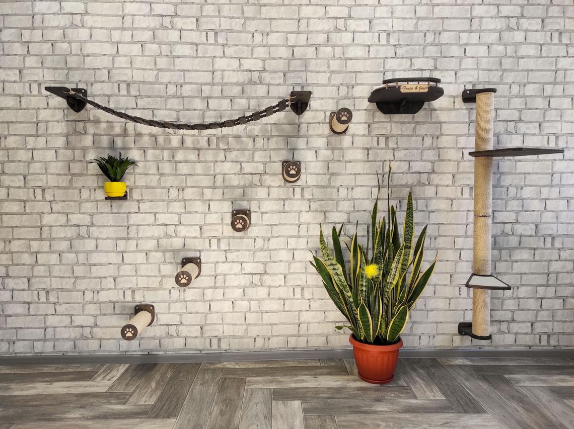 ����� �������� ������� ��� ����� ������� �����: �� ���������� �� ���������� �������� ���������. ���� ����������� ���������� ��� ����� � ������� ���������. 