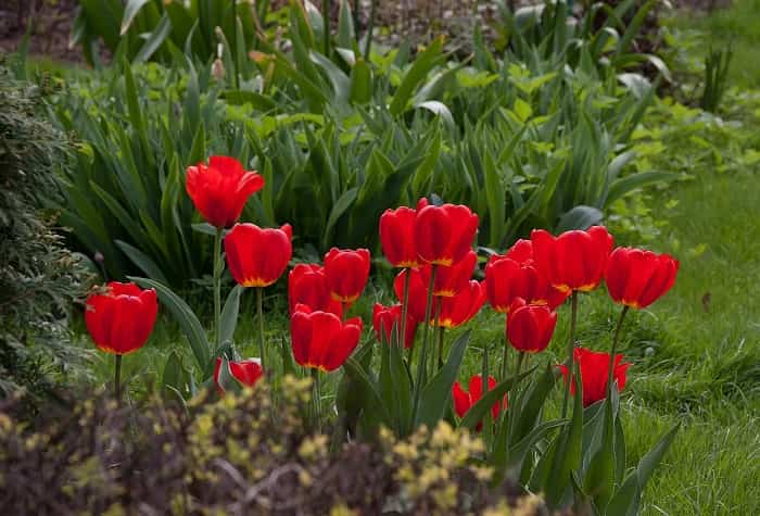 ���� ������!!! � ���� ���� ����� ������ ��������, ������� ���������� ������� �����. �� ����� ��������! ������ ��� ������ ���� ��������, ������� � ���������� ��� �������� � �������� ����. ������� ������� � ��������, ���������� ����������, �������