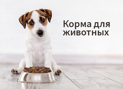 ���� �� 26.06. �����, ��������� � �������� ��� �������� �� ������������� �����-3