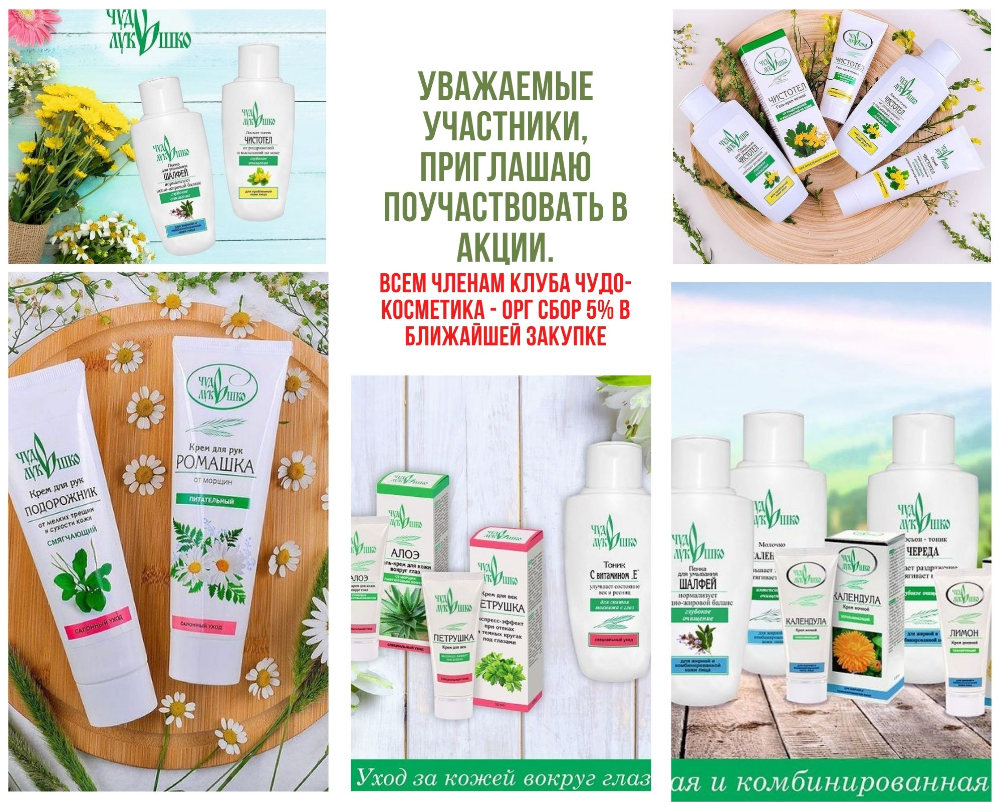 ��������� ���������, ��������� ������������� � �����. ���� ������ ����� ����-��������� - ��� ���� 5% � ��������� �������.(���� ������ �� �������).