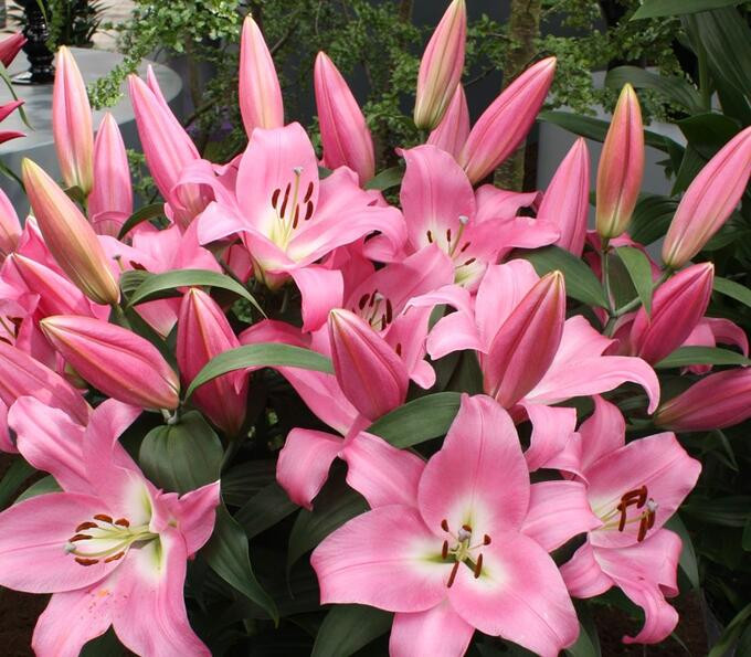 ���� �������. 26.06 �������� �����. �������� ����� ����������� �����! ������ 2����� ������ 20/22 �� ������ �����!