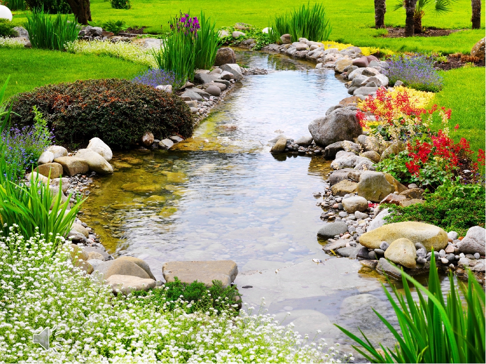 ������� ������� �������� �� ������   1 ����  !!!!!