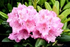 �������� ��� �� 29.06. ���������-��������� �������! ������, �������, �������, ��������, ����������, ������. ��������,������ , ���������, ��������� � ������. ��� ����!!!! ������� ����� ������ ����� ����� 