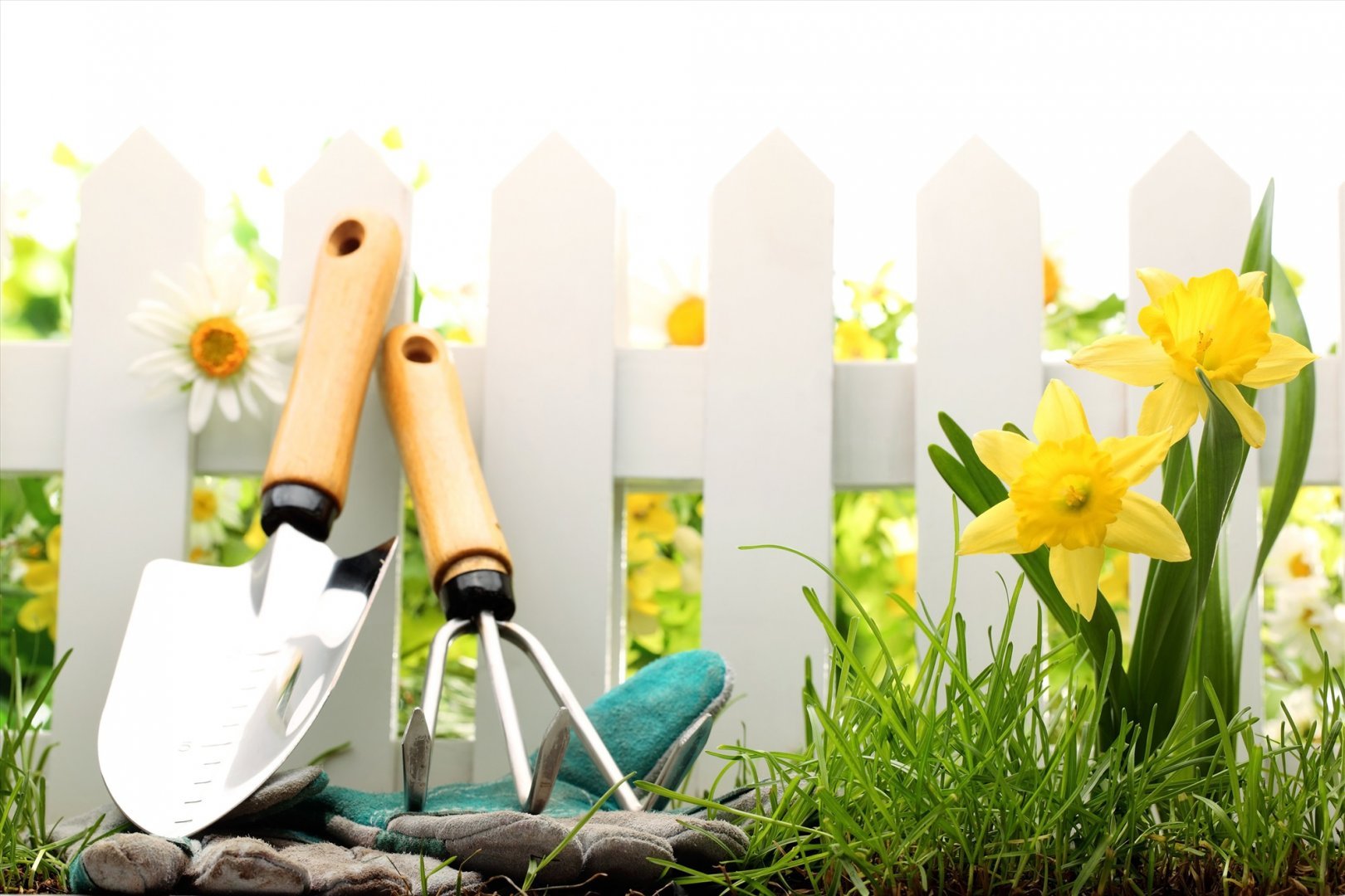 ������� ������� ������� - �����������, ������, ������, �����, � �ӣ ��������� 