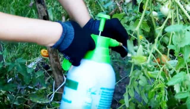 ��������� ������� �� ��������� ���� ������ ����������� ����������