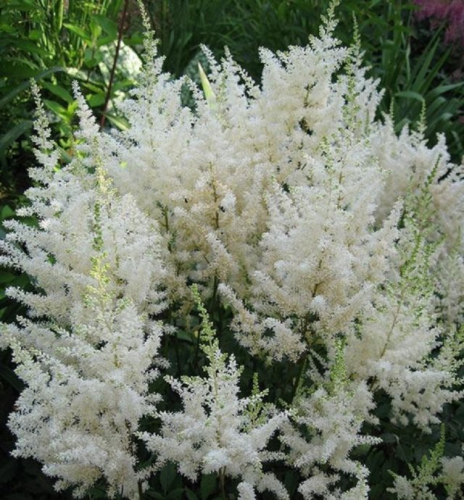 ���� ������ ������� ���� ����� ���������� ����� ���� ��� ����������� �����!