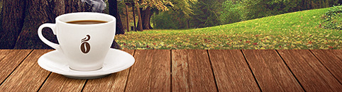 ���� ������ ������ ������� ��� ���������� ���������