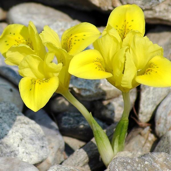 ����-���������� ��������� ������ ����� �� ������, ������� ������ ����������� ������! ������� ������������ ������ ���������� � ������ ��������� ������ �����!