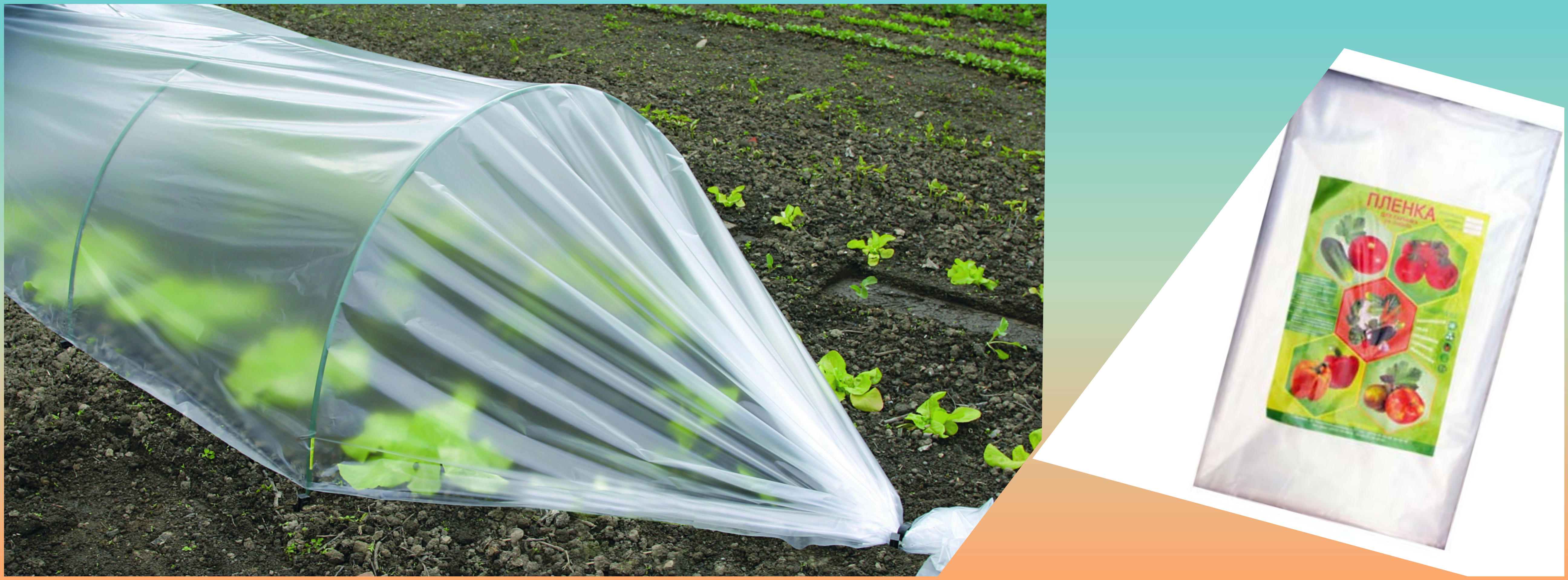 � ������� �/� ������ ��� ����, �������� �� 6 � 10�, ������ �������.